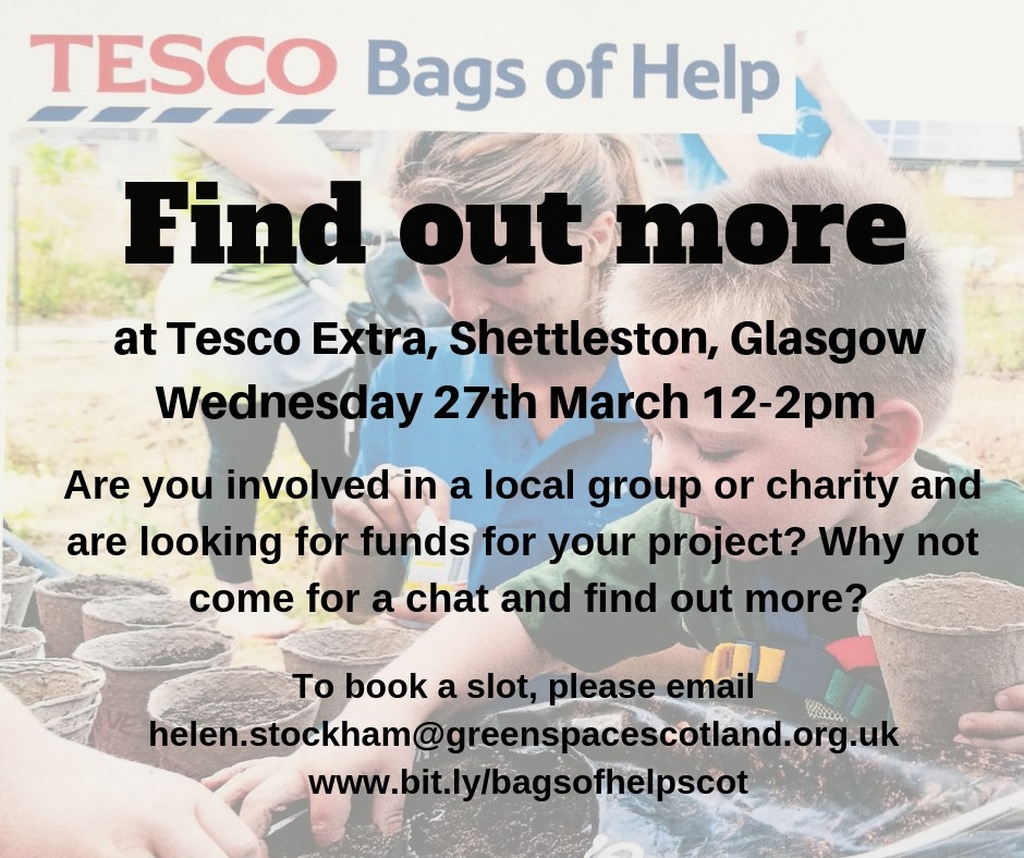 SGP News TESCO Bags of Help Shettleston Communuty Growing Project