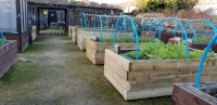 Work on Raised Beds finally completed